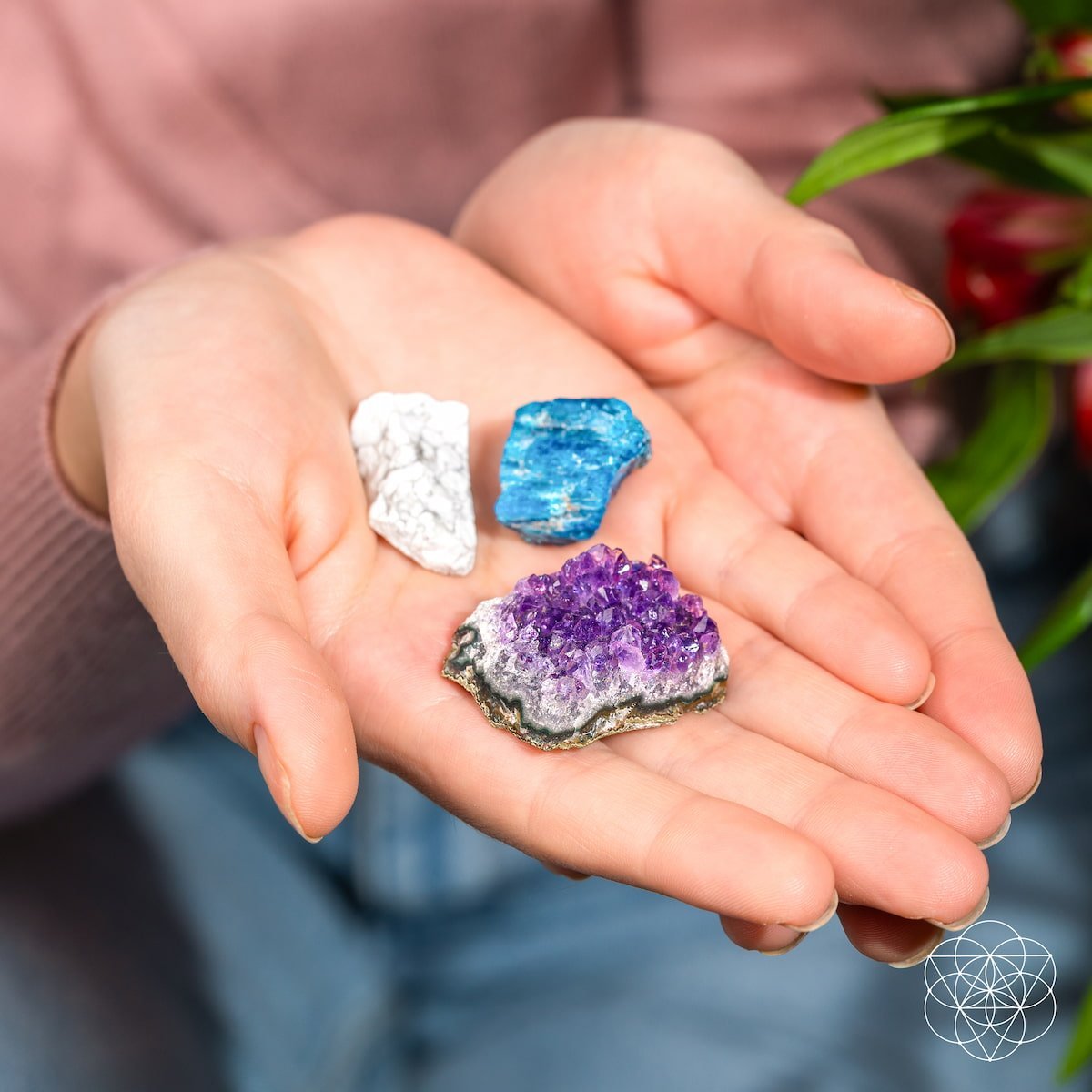 The Anti-Anxiety Trio - Salty Season LLC
