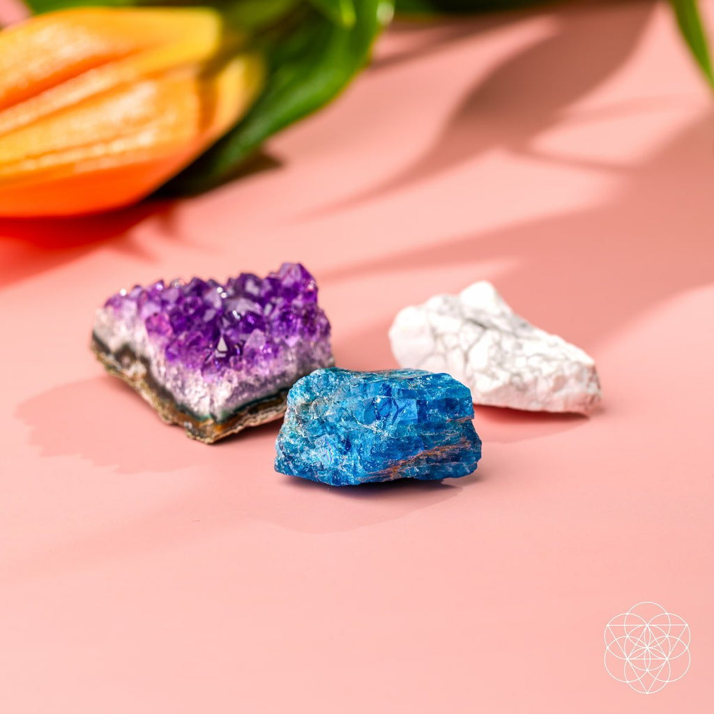 The Anti-Anxiety Trio - Salty Season LLC