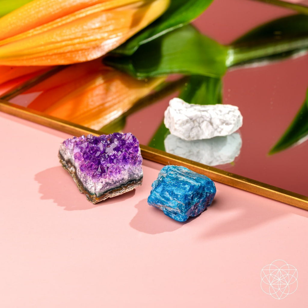 The Anti-Anxiety Trio - Salty Season LLC