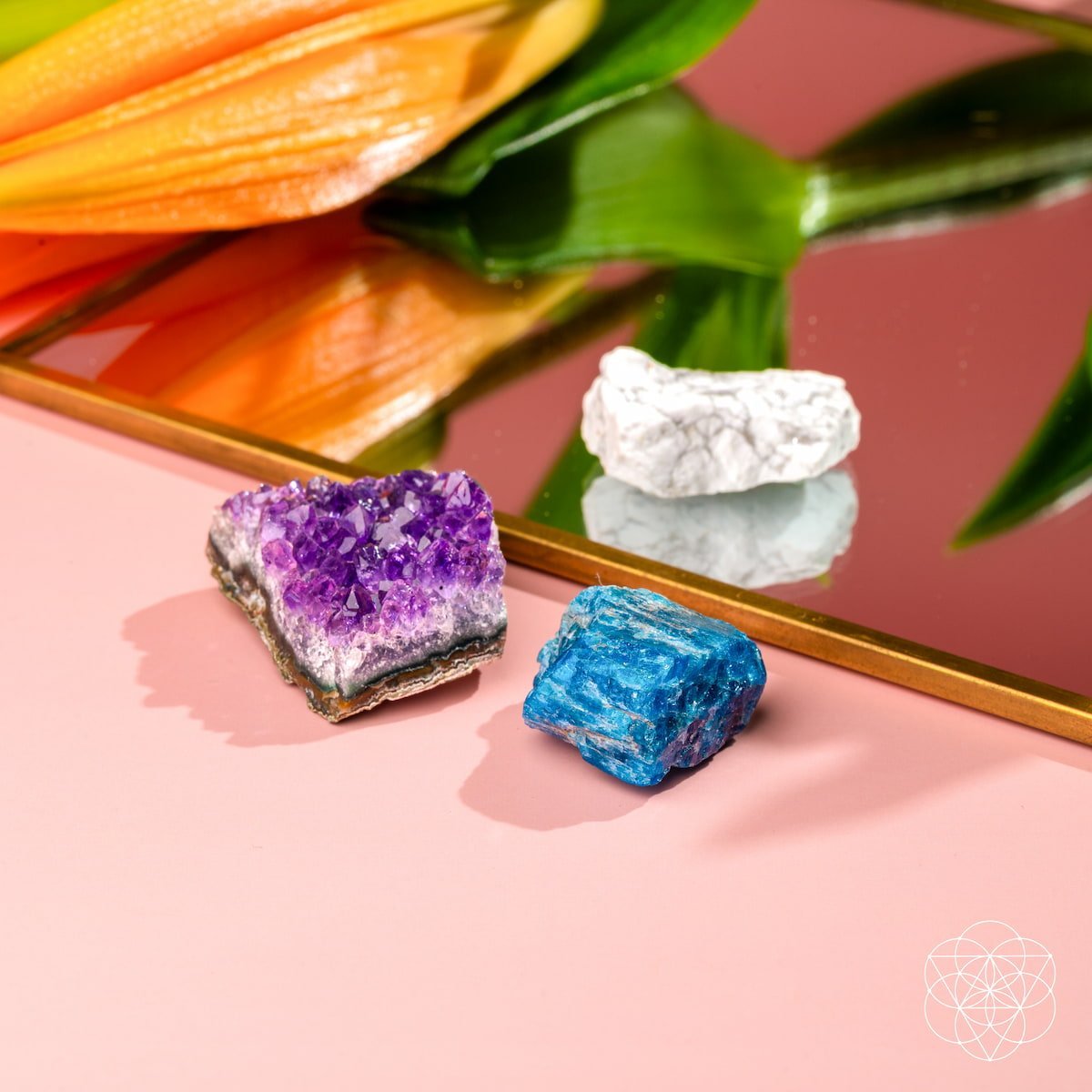 The Anti-Anxiety Trio - Salty Season LLC